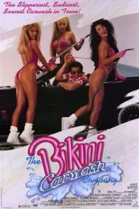 Компания автомойщиц в бикини